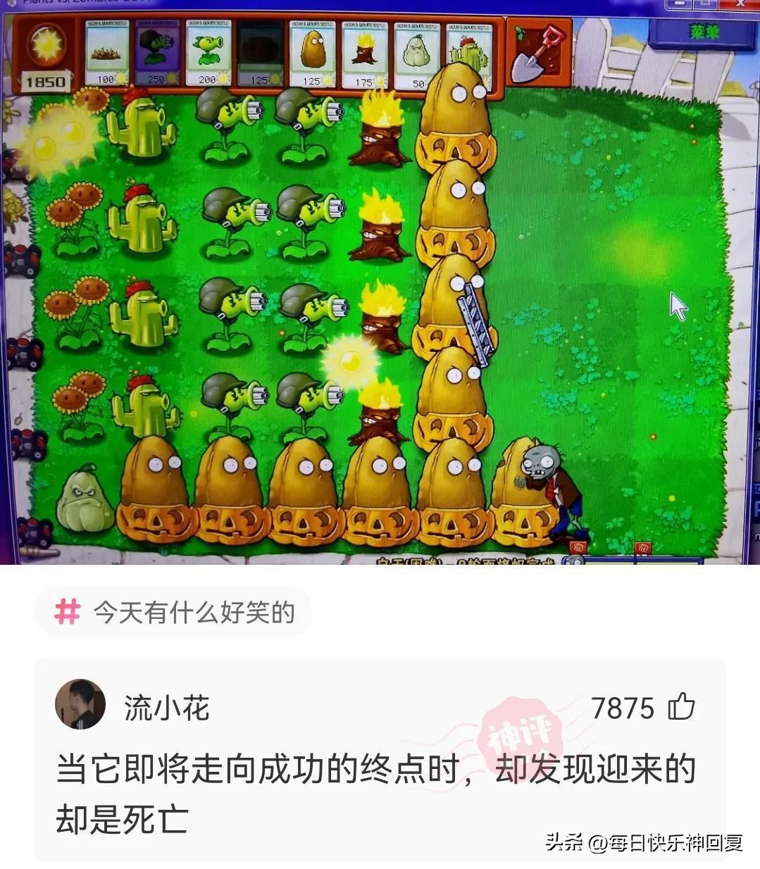 人活着为了啥神回复,人活着到底是为了什么搞笑回复