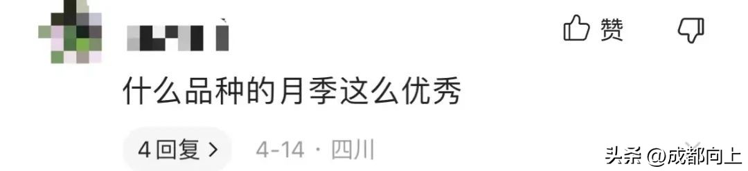 浜岀幆楂樻灦缁块噹浠欒釜瑙嗛,浜岀幆楂樻灦缁块噹浠欒釜