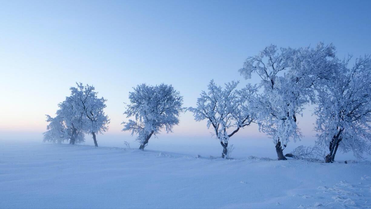 沉寂多年的火山,沉寂的火山喷发
