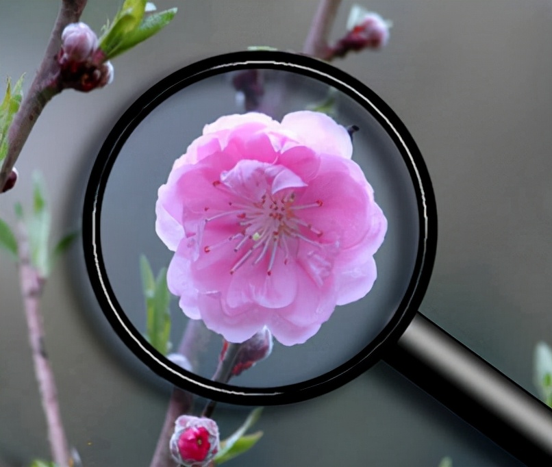 2022年上海初中一模物理卷,物理一模山东讲评