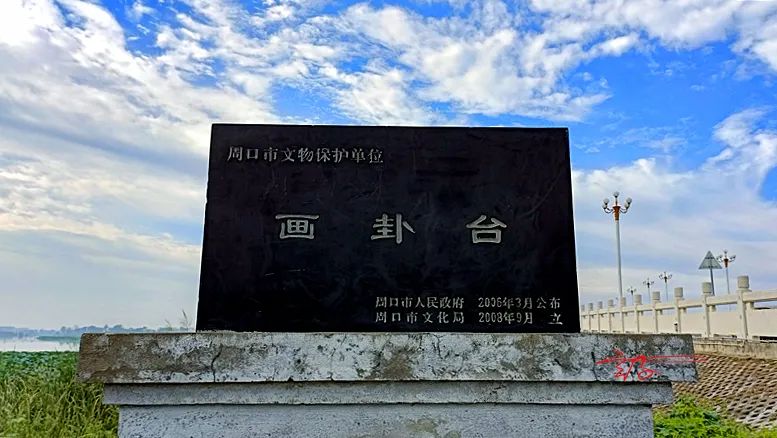 淮阳荷花节什么时间最好看,淮阳看荷花节开幕