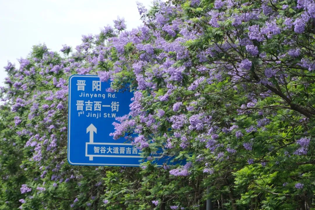 成都有哪些好玩的网红打卡地,成都网红打卡地最新旅游景点