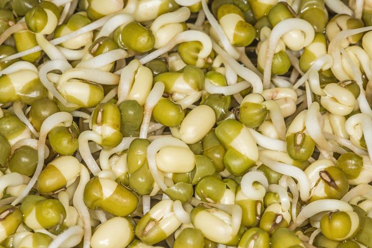 肛周脓肿用拔毒生肌散,肛周脓肿中医方剂