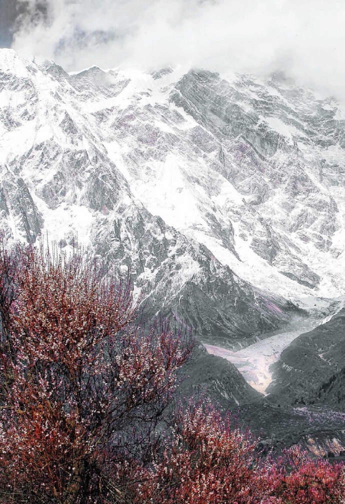 婆媳关系从来都不是尊老爱幼,婆媳之间关系不好正常吗