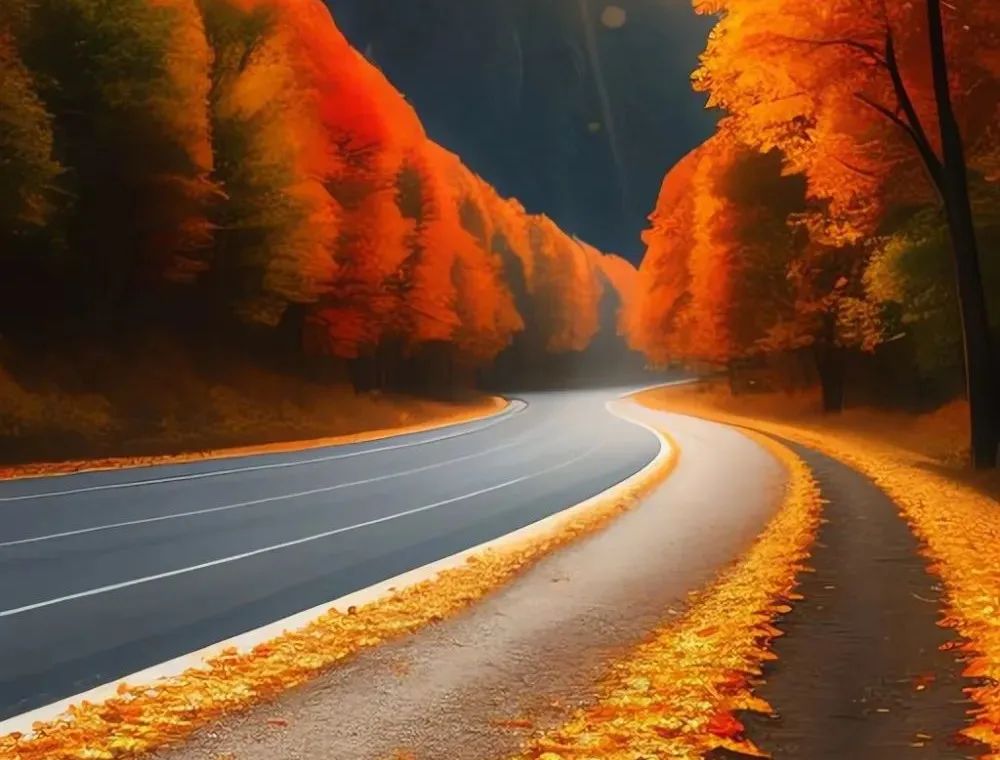 复盘笔记及展望,复盘这一年感触颇深