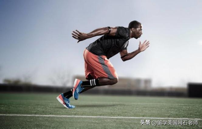 美国十大体育运动排名,美国最好的体育学院