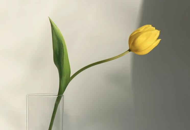 女子产后4个月又怀孕,女子产后三个月