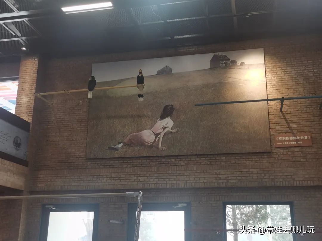 一天玩遍北京野生动物园,包场去鸟巢