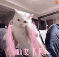 黄黑皮素颜也能驾驭的口红色号 (黄黑皮春夏素颜适合的口红色号)