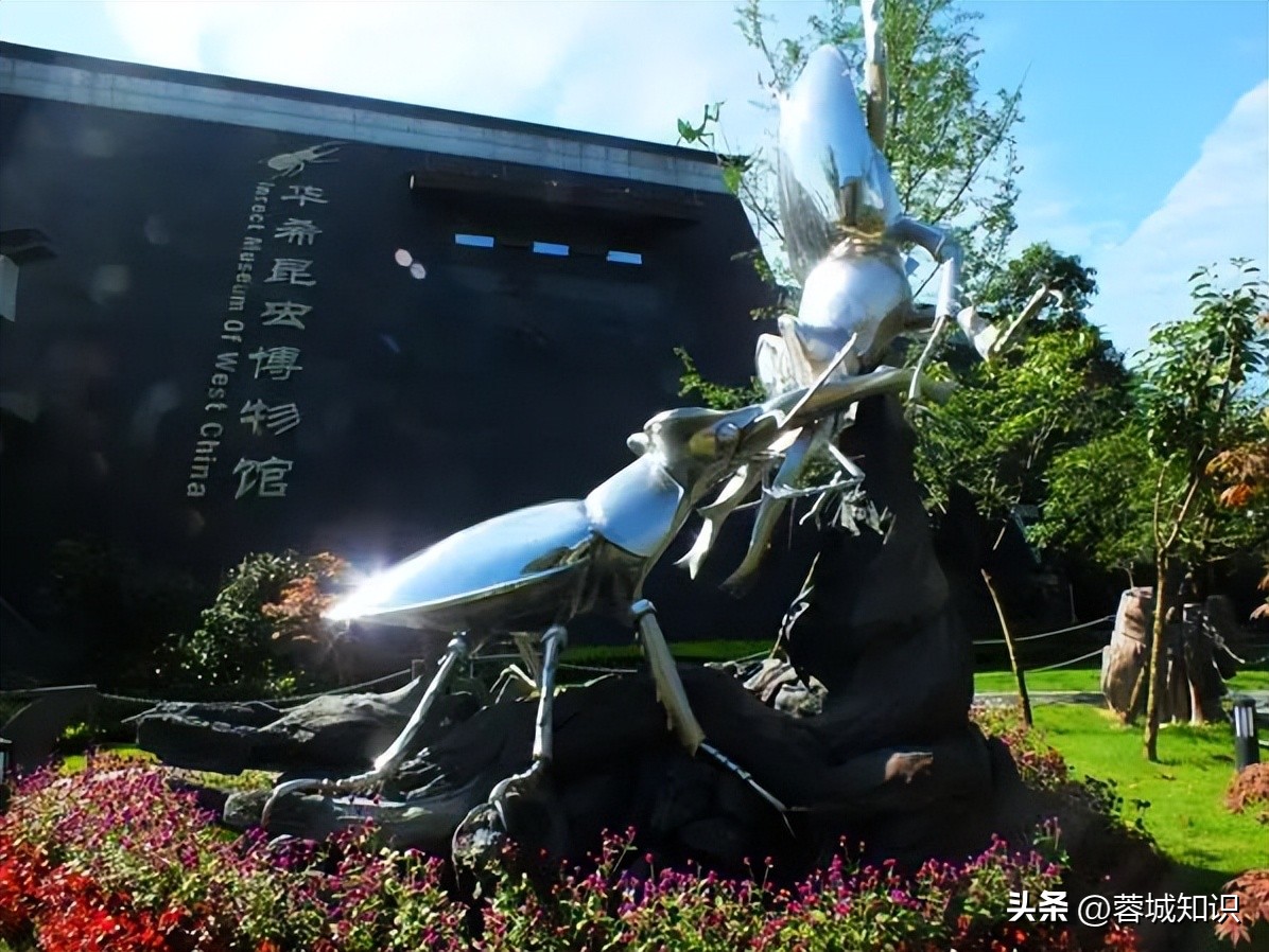 都江堰旅游必去十大景点有哪些,都江堰旅游景点大全最新