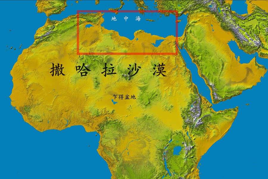 位于非洲的埃及为什么不是黑人国家