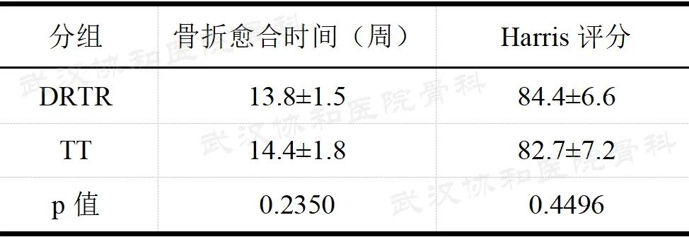 双导牵引矫正器,反向牵引复位固定器