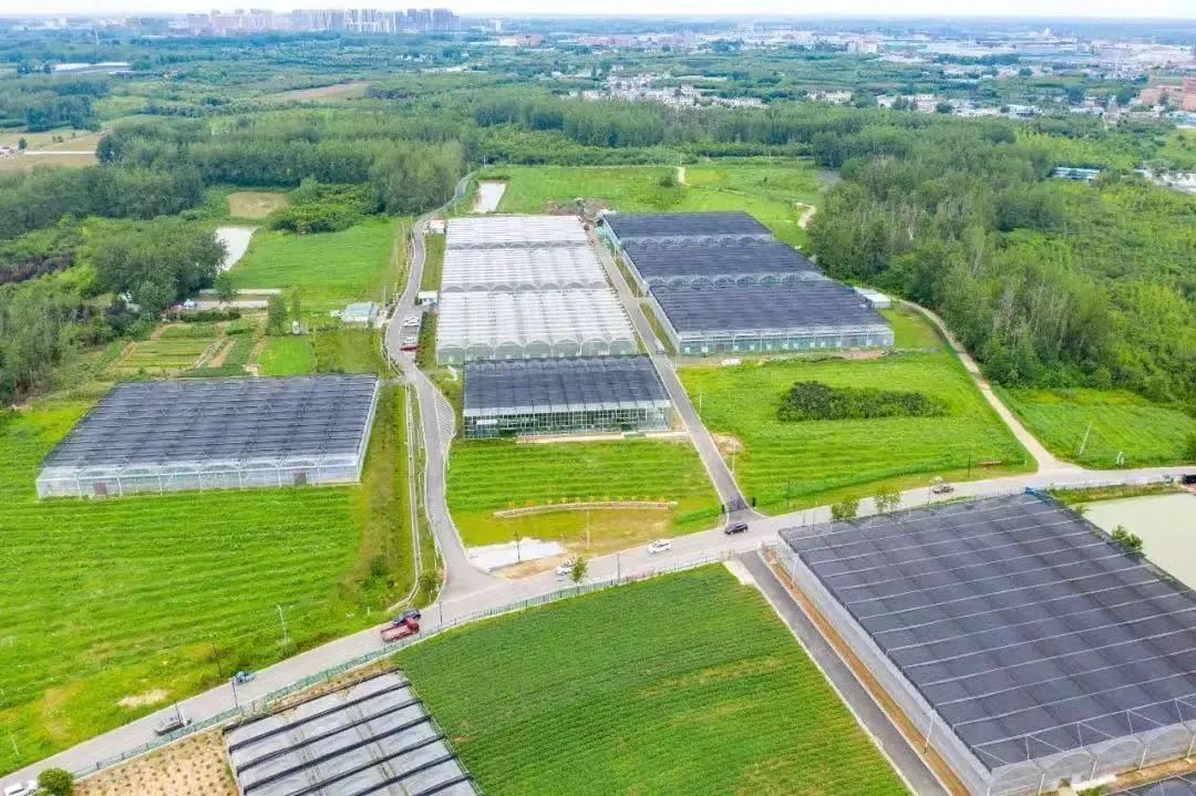 五一游玩推荐合肥,合肥五一旅游攻略