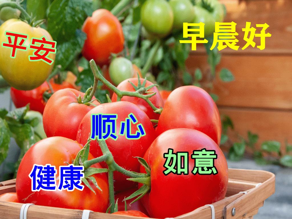 周末早安最漂亮问候图片带字,周三早安正能量图片带字