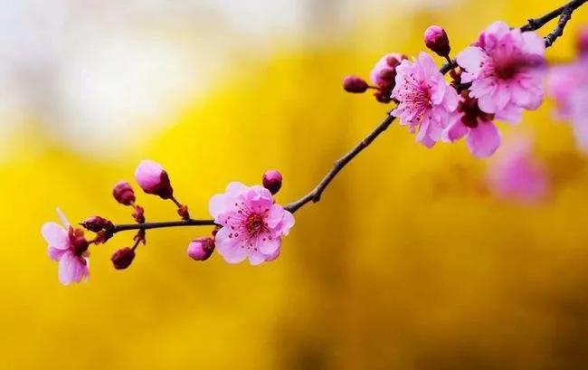 七年之痒短篇结局,七年之痒短片