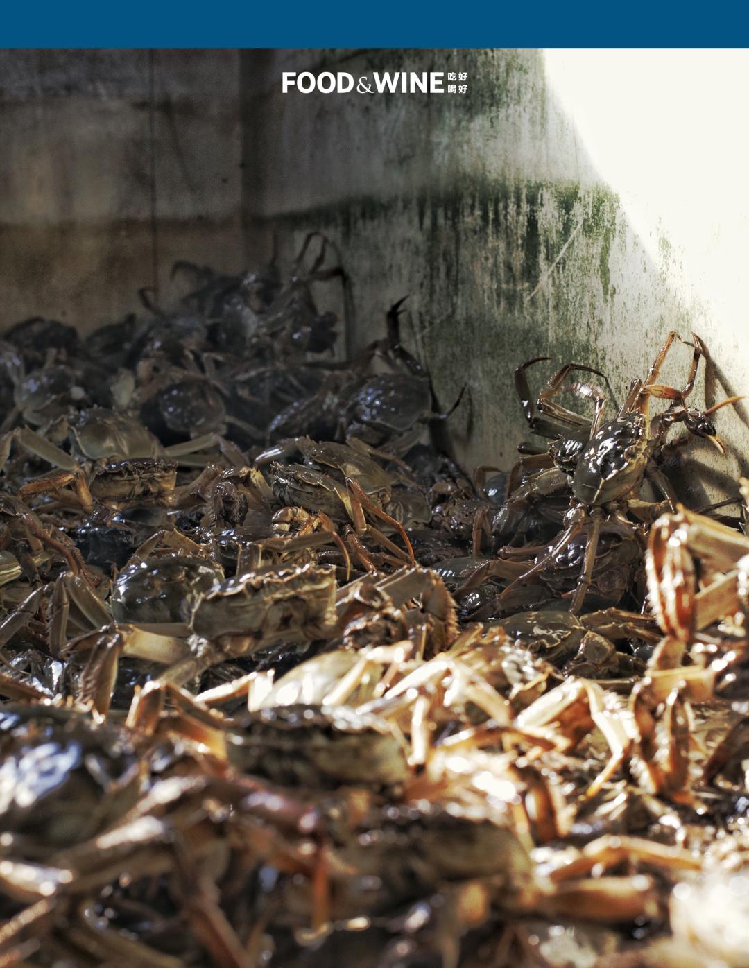 固城湖还是高邮湖螃蟹好,高邮湖螃蟹几月份有