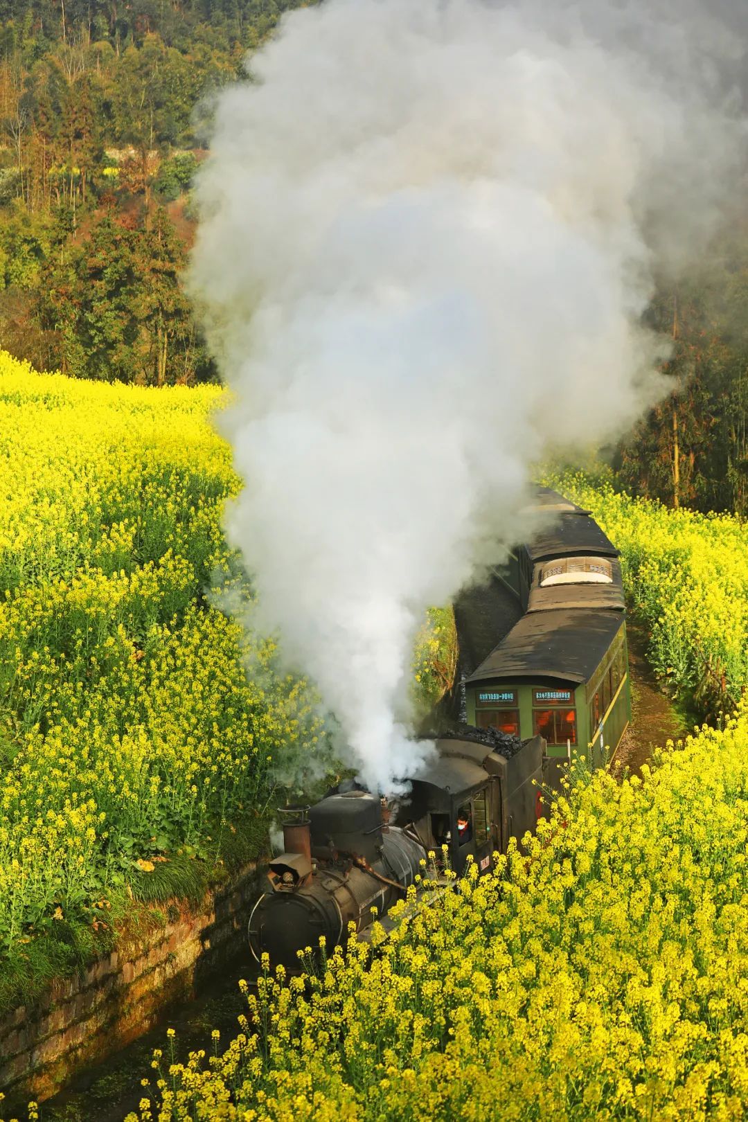 四川,本就是一个安逸的地方,乐山尤甚