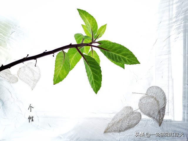 情感故事：从事保健理疗的我，被迫为前妻提供VIP全套服务