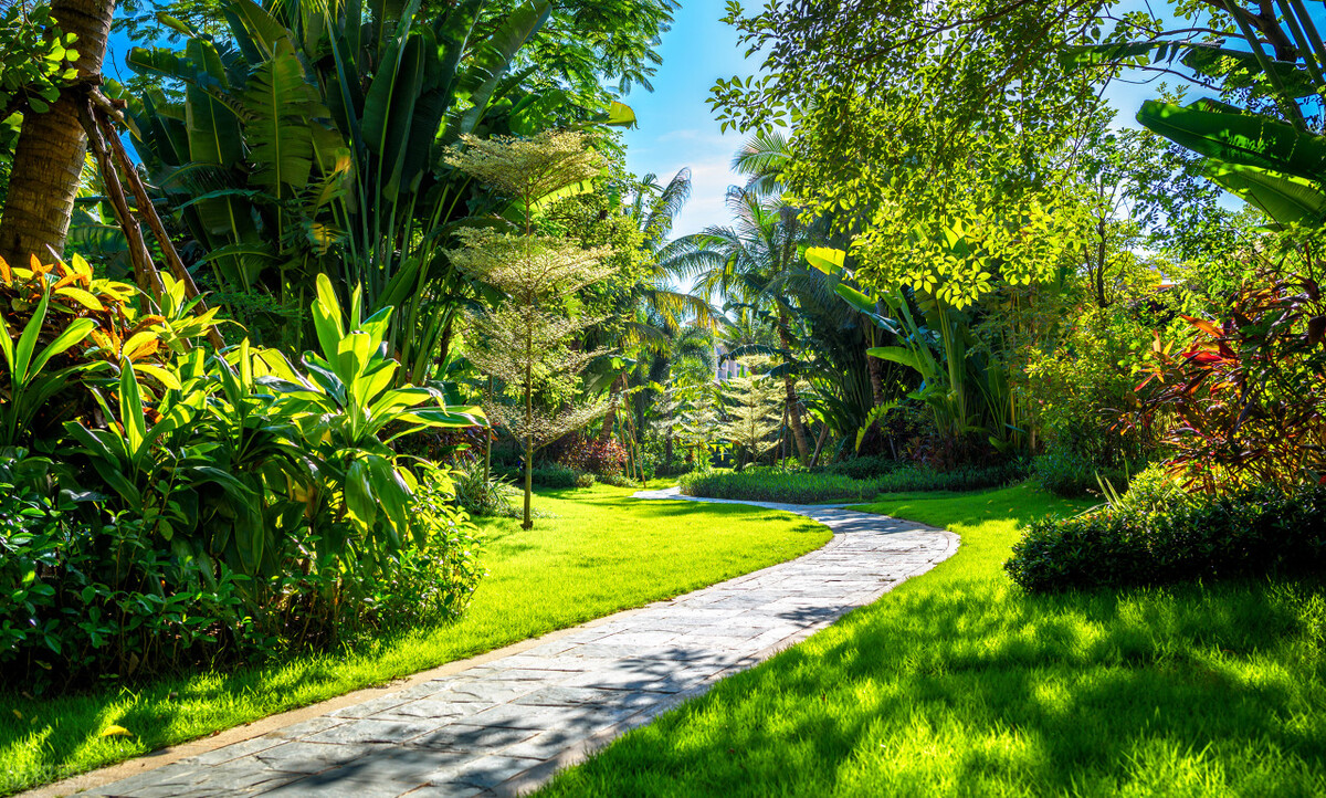 新手健身入门攻略计划,新手健身入门攻略计划书