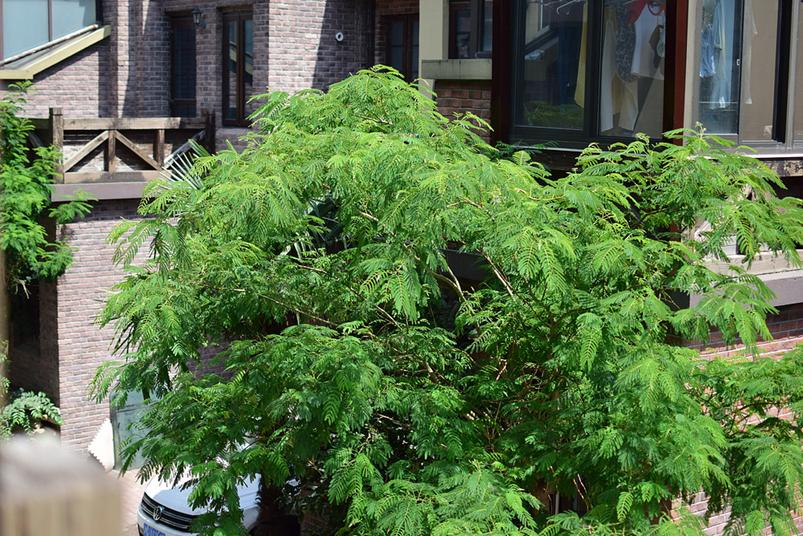 电子怀旧之旅（23）-“花漾”背板的先驱者-华为荣耀8