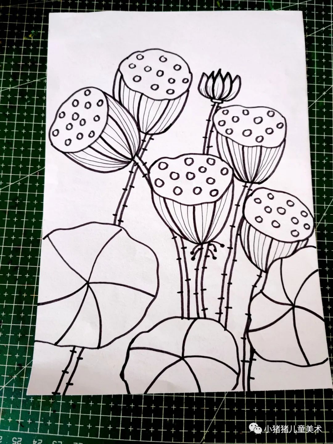 荷花莲蓬文案短句干净,荷花莲蓬