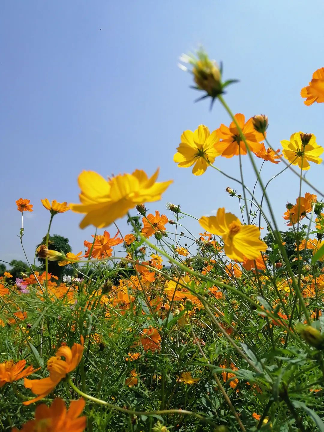 父亲节这天可以去哪玩,父亲节带父母游玩是最佳选择