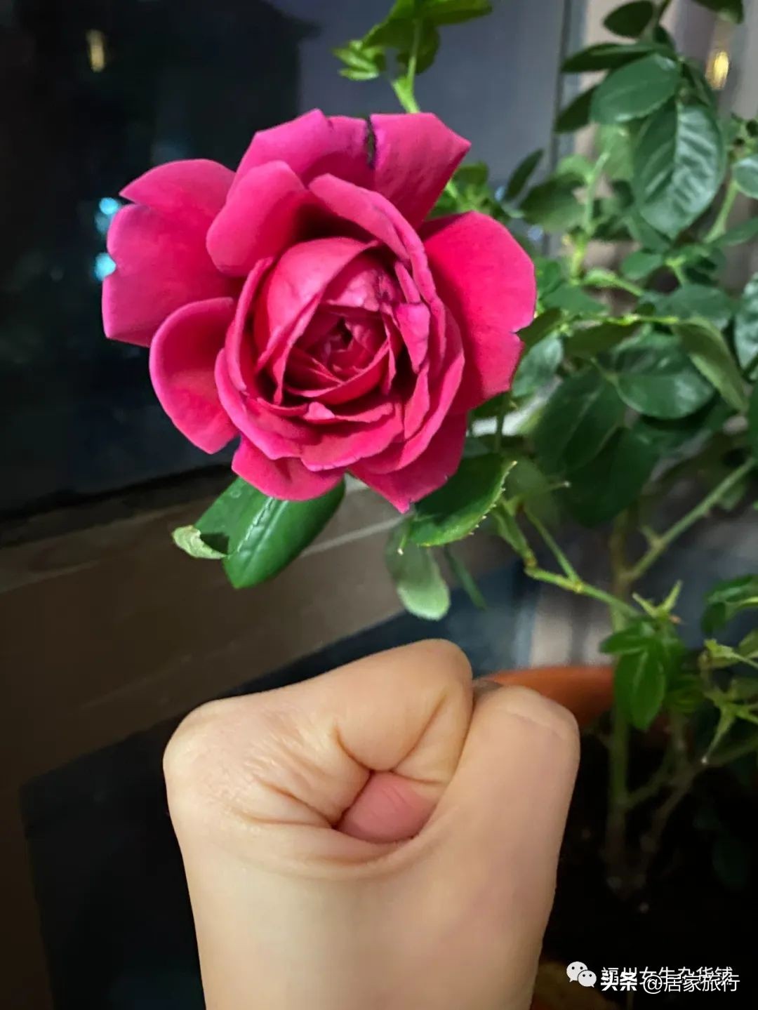 下冬雪,18年下大雪霍邱