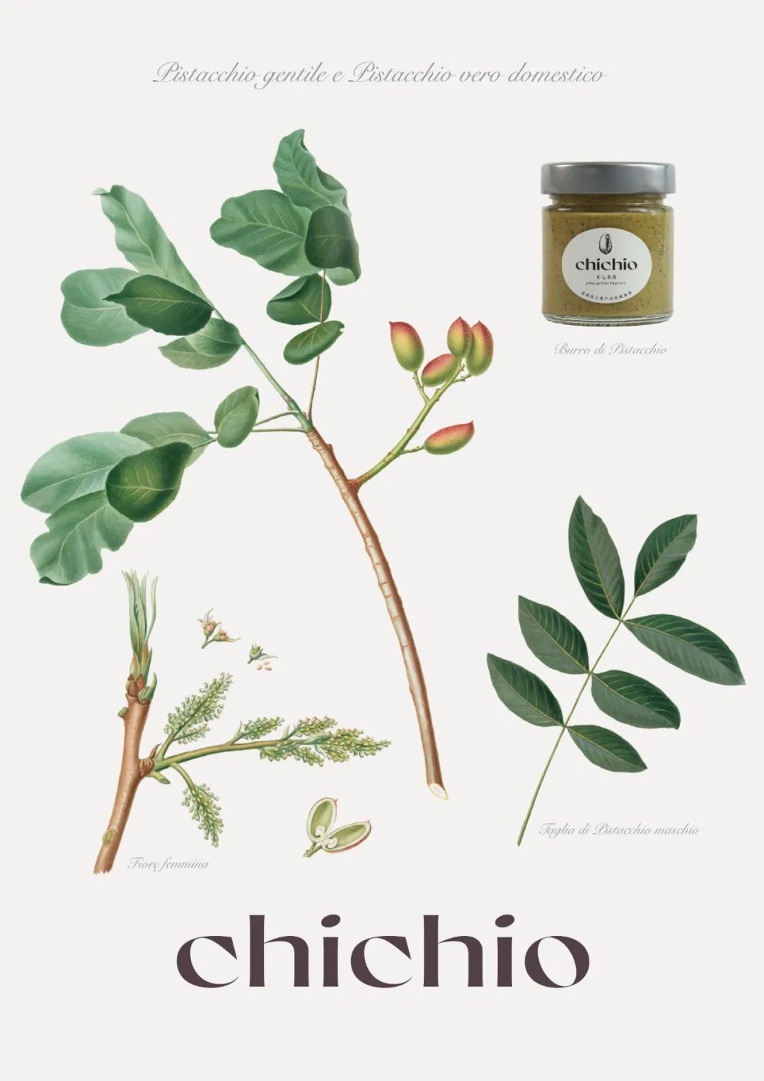 世界食品品质大奖名单,解析2019世界食品创新奖入围产品