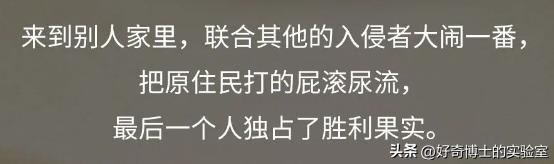 《猫和老鼠》其实不是儿童动画片而是成人片
