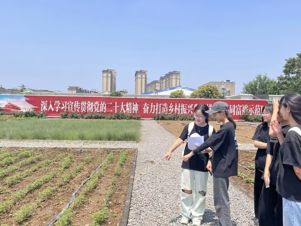 发展绿色低碳农业,低碳转型推动农业农村绿色发展