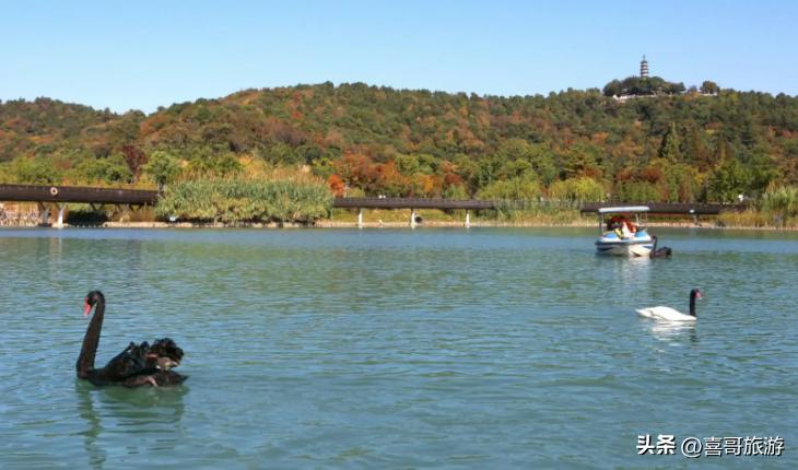 苏州游玩好去处,春天苏州游玩的好去处