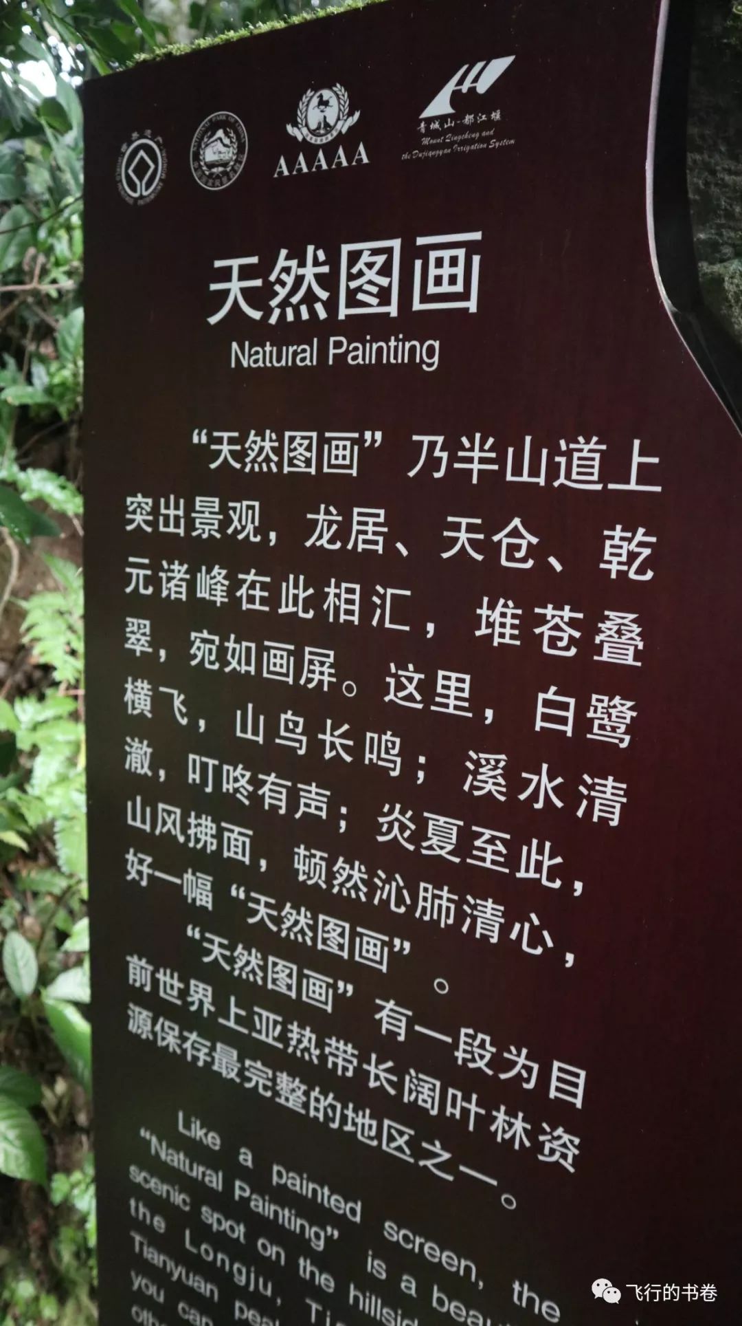 道教四大仙山你爬过几座,青城山为什么被称作道教第一山