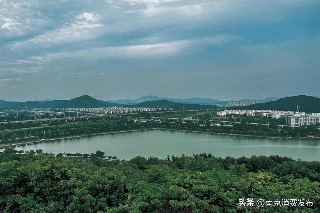 南京citywalk指南,南京12月份citywalk