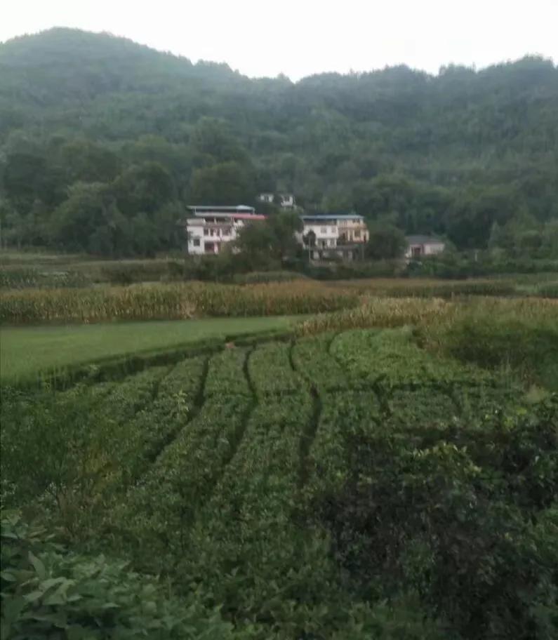 一名军转干部的从军经历,一个正团级军官退役去工地打工