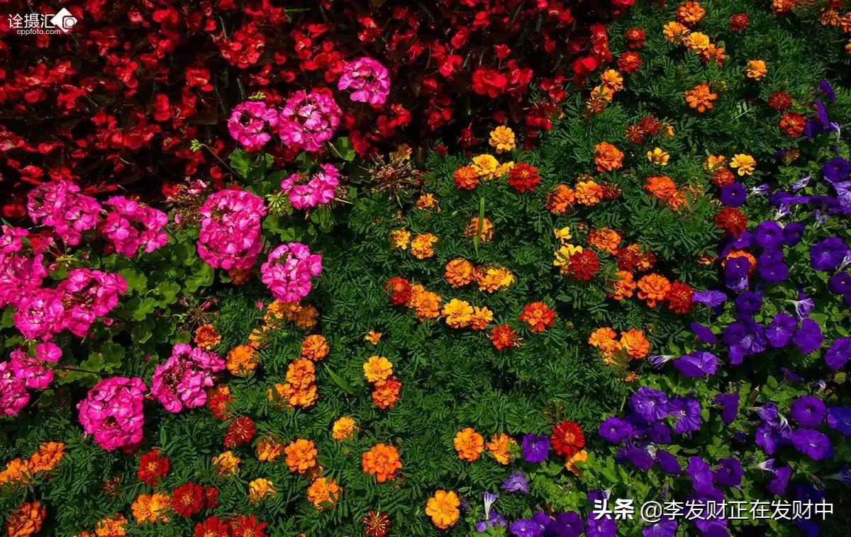 那些文案里最唯美的词,每一句都是顶级文案