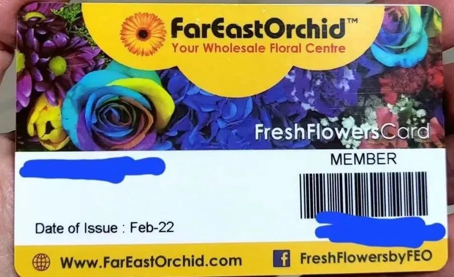 新手必看鲜花养护攻略,鲜花在水里能养几天会死