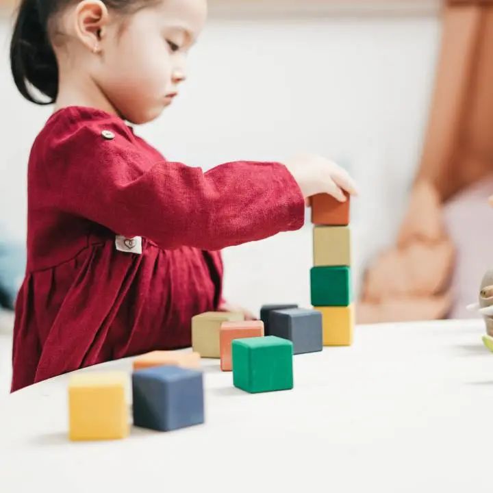 自闭症儿童行为干预好书推荐,孤独症儿童康复训练玩具