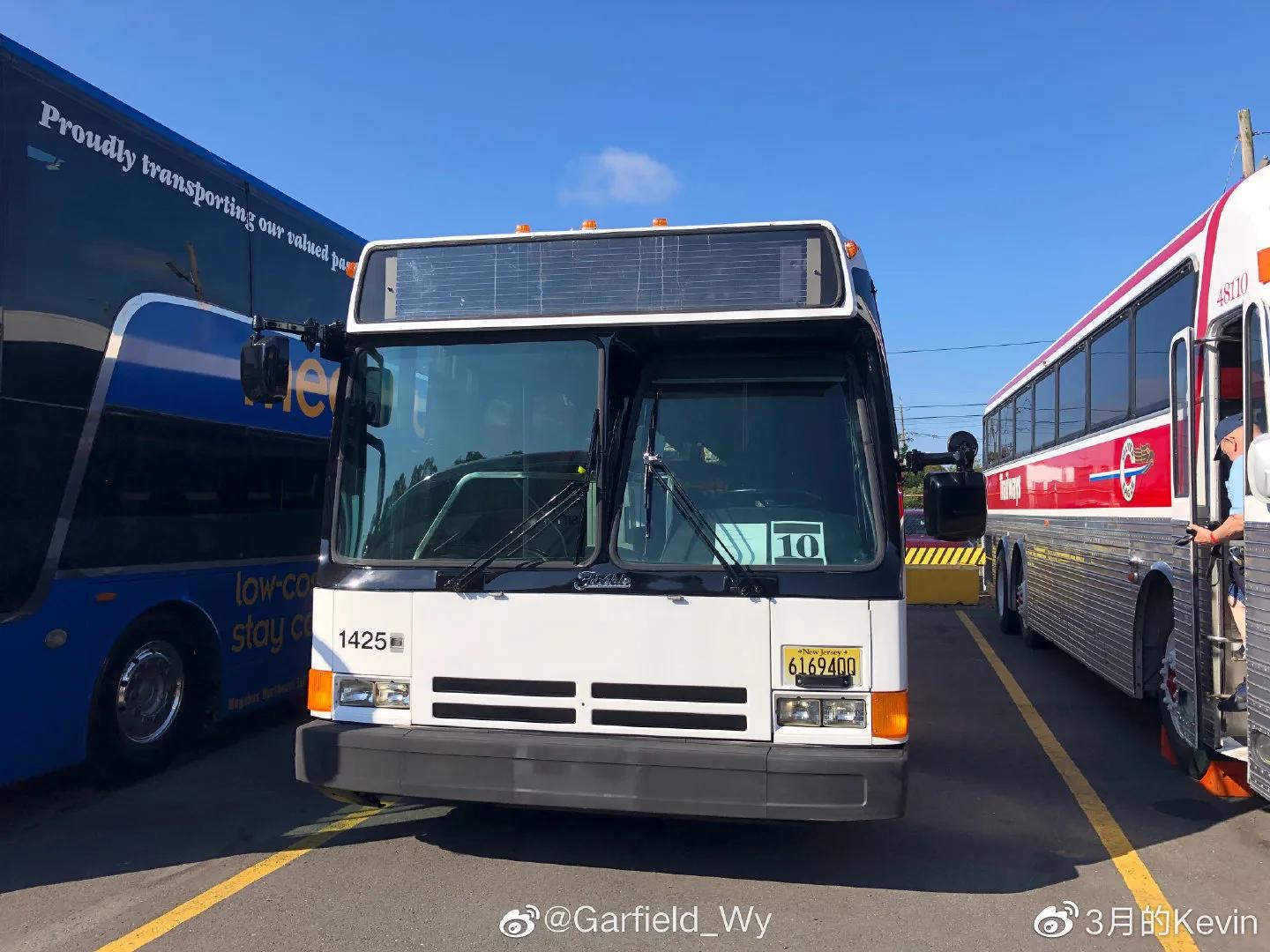 关于福宝的介绍,关于福宝的新闻