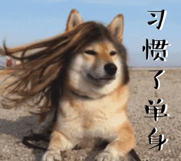 你知道所有表情包的秘密吗,保存起来的表情包都去哪了