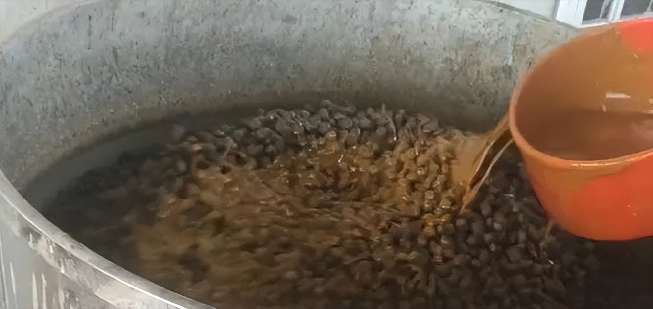 加州鲈虹彩病毒感染后多久发病,加州鲈感染虹彩病毒死亡快不快