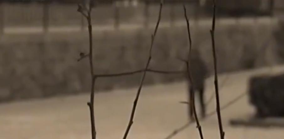 故事：大连39岁姑娘患怪病，皮肤坚硬宛如石膏，专家结论希望渺茫