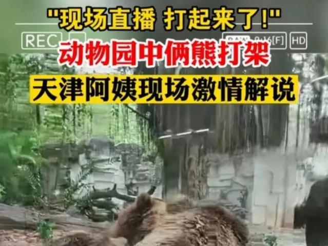 澶╂触澶уЖ鎵撴灦鎼炵瑧,澶╂触澶уЖ鎵撴灦鎼炵瑧瑙嗛