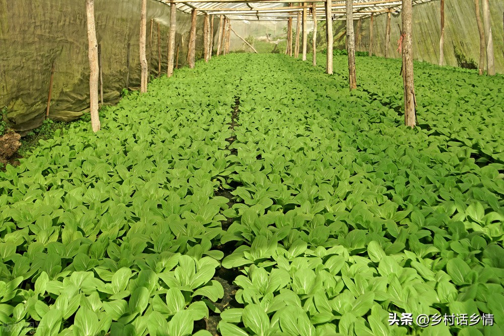 <html>
<head><title>502BadGateway</title></head>
<body>
<center><h1>502BadGateway</h1></center>
<hr><center>nginx</center>
</body>
</html>
<!--apaddingtodisableMSIEandChromefriendlyerrorpage-->
<!--apaddingtodisableMSIEandChromefriendlyerrorpage-->
<!--apaddingtodisableMSIEandChromefriendlyerrorpage-->
<!--apaddingtodisableMSIEandChromefriendlyerrorpage-->
<!--apaddingtodisableMSIEandChromefriendlyerrorpage-->
<!--apaddingtodisableMSIEandChromefriendlyerrorpage-->
