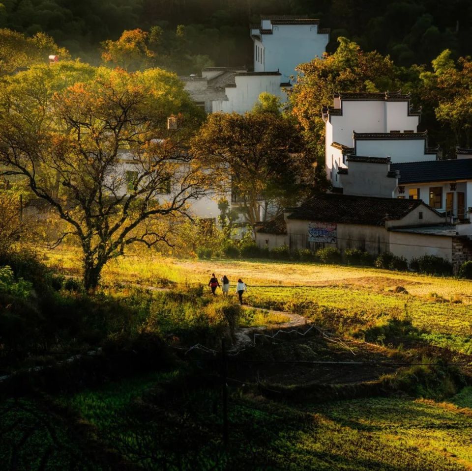 9月哪个地方适合旅居,三月旅居城市推荐