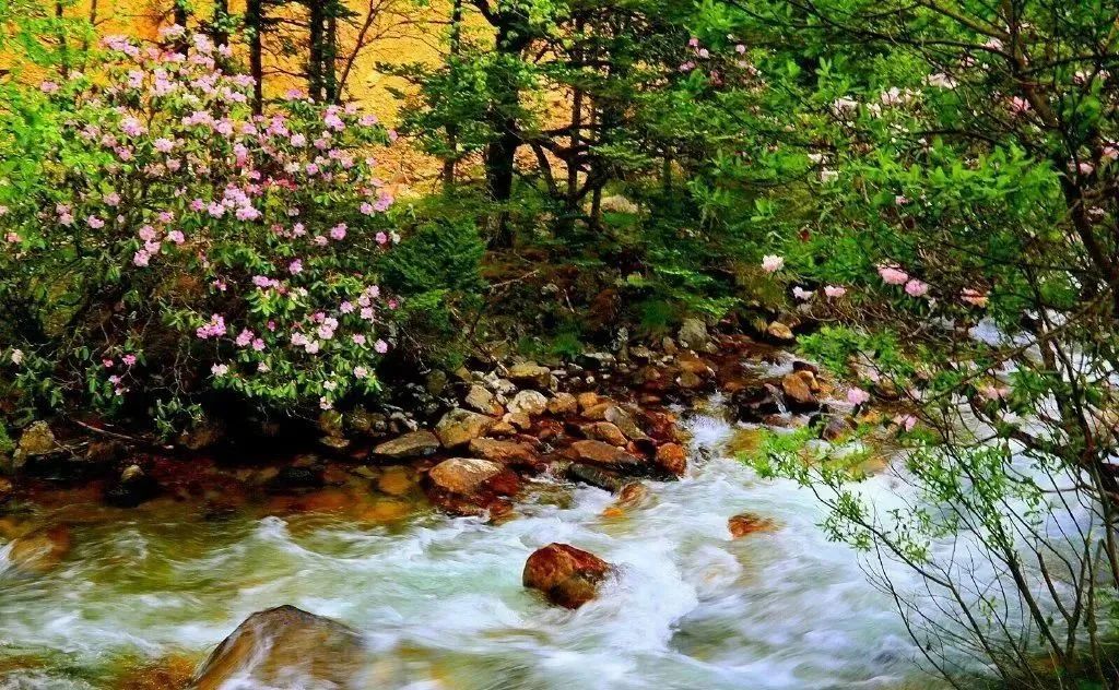 2021年中国旅游日四川景点优惠,四川中国旅游日优惠