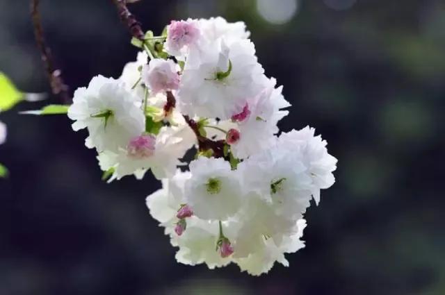 抑郁想不开是矫情吗,抑郁动不动就想不开