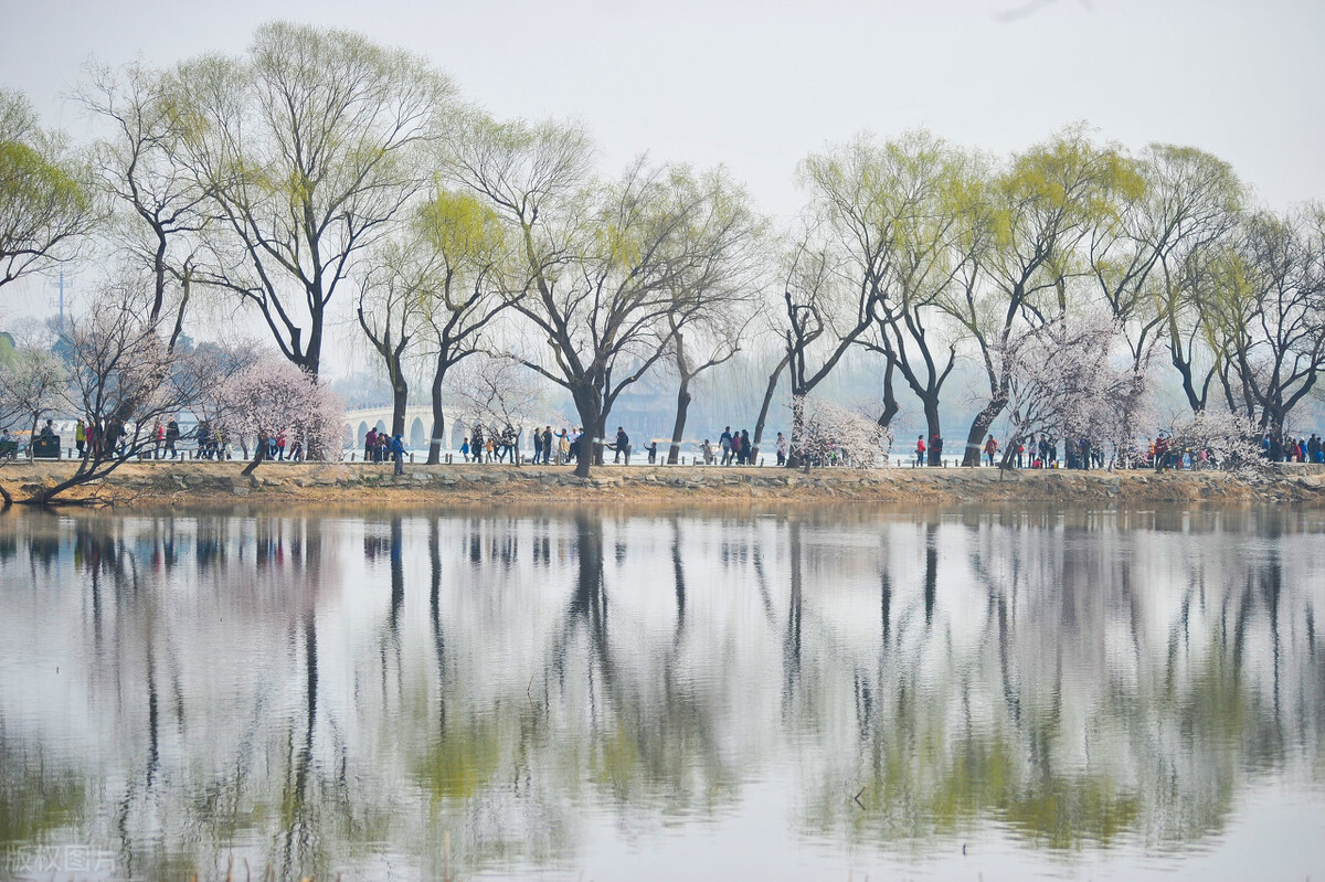 马二先生游西湖,马二先生为何游西湖