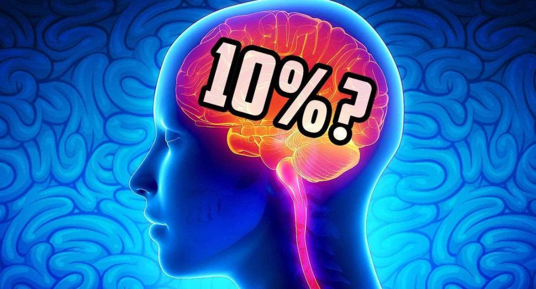 你脑子进水了吗韩语,你脑子进水了吗的图