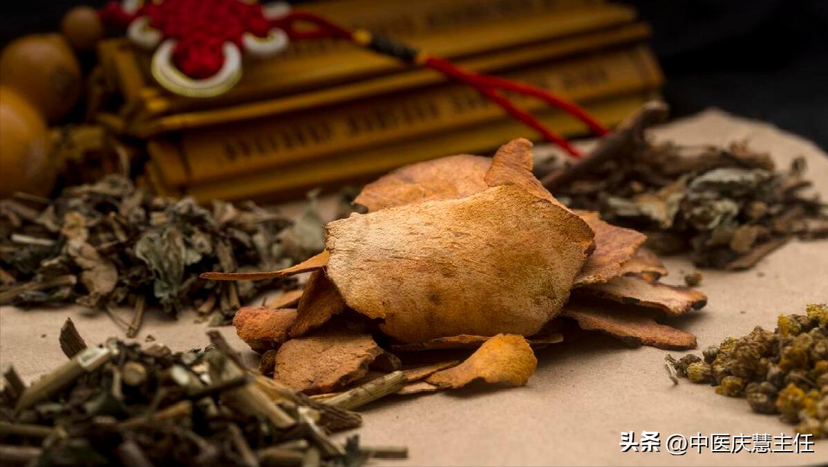 傅青主定经汤治崩漏医案,傅青主治疗崩漏之神方