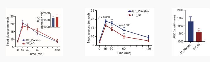 肠道菌群对糖尿病的影响,肠道有益菌对糖尿病的影响